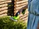 Greenworks 24V Cordless Shear Shrubber Skin — image 2