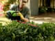 Greenworks Pro 80V Hedge Trimmer 660mm Brushless 2.0Ah Kit — image 2