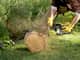 Greenworks Pro 80V Chainsaw 18" Brushless Skin — image 3