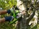 Greenworks 40V Chainsaw 12" 2.0Ah Kit — image 2