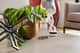 Greenworks 24V Cordless Stick Vac Brushless 4.0Ah Kit — image 6